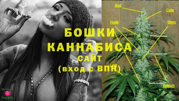 ECSTASY Няндома