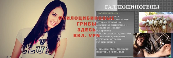 ECSTASY Няндома
