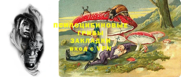 apvp Нязепетровск