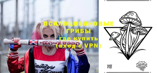 ECSTASY Няндома