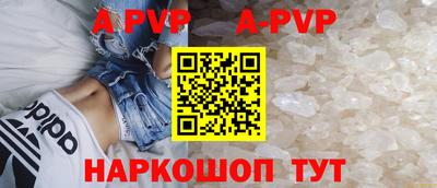 apvp Кингисепп