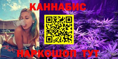 шишки Кимры