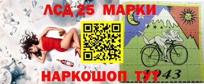 шишки Кимры