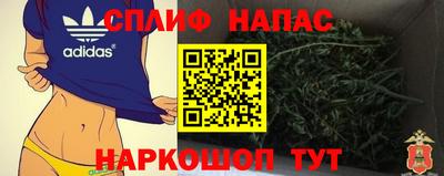 apvp Кингисепп