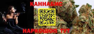 apvp Кингисепп