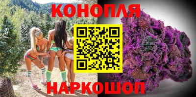 apvp Кингисепп