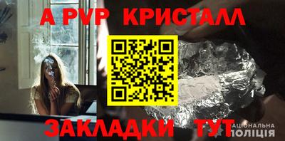 apvp Кингисепп