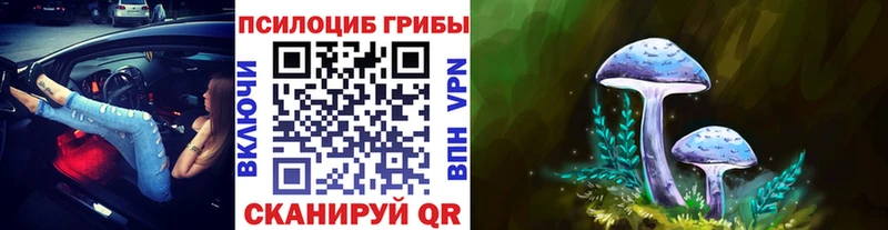 маркетплейс клад  Фролово  Галлюциногенные грибы Magic Shrooms 