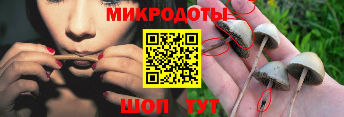 Галлюциногенные грибы Cubensis  Вход с VPN  Фролово  Галлюциногенные грибы прущие грибы 